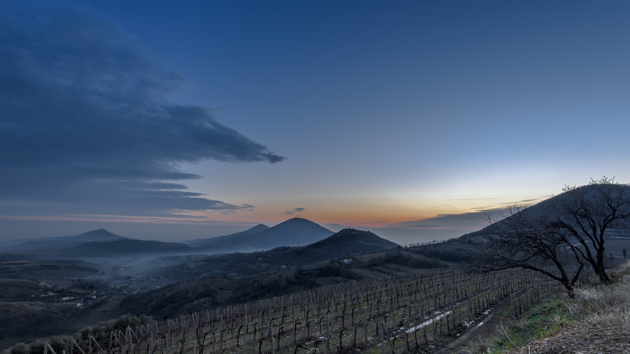 Vista da Monte Fasolo