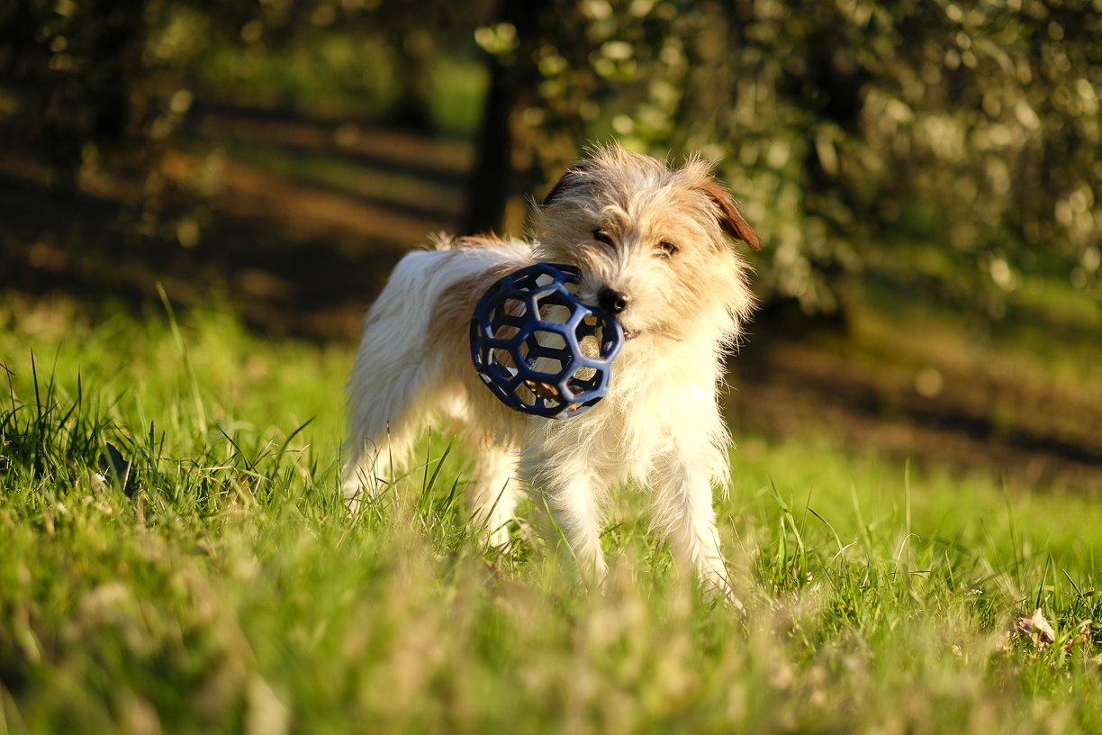 01_Fujifilm XF 56mm f/1.2 R APD