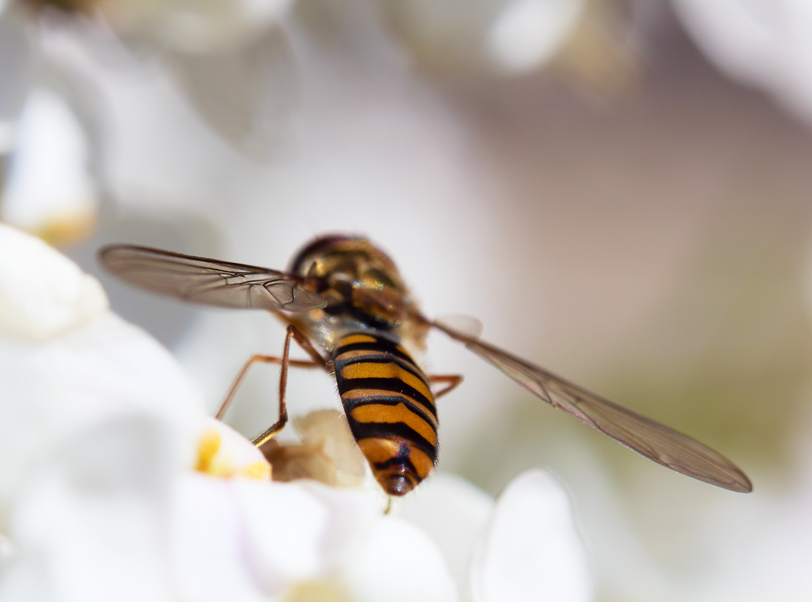 Momento di intimità
