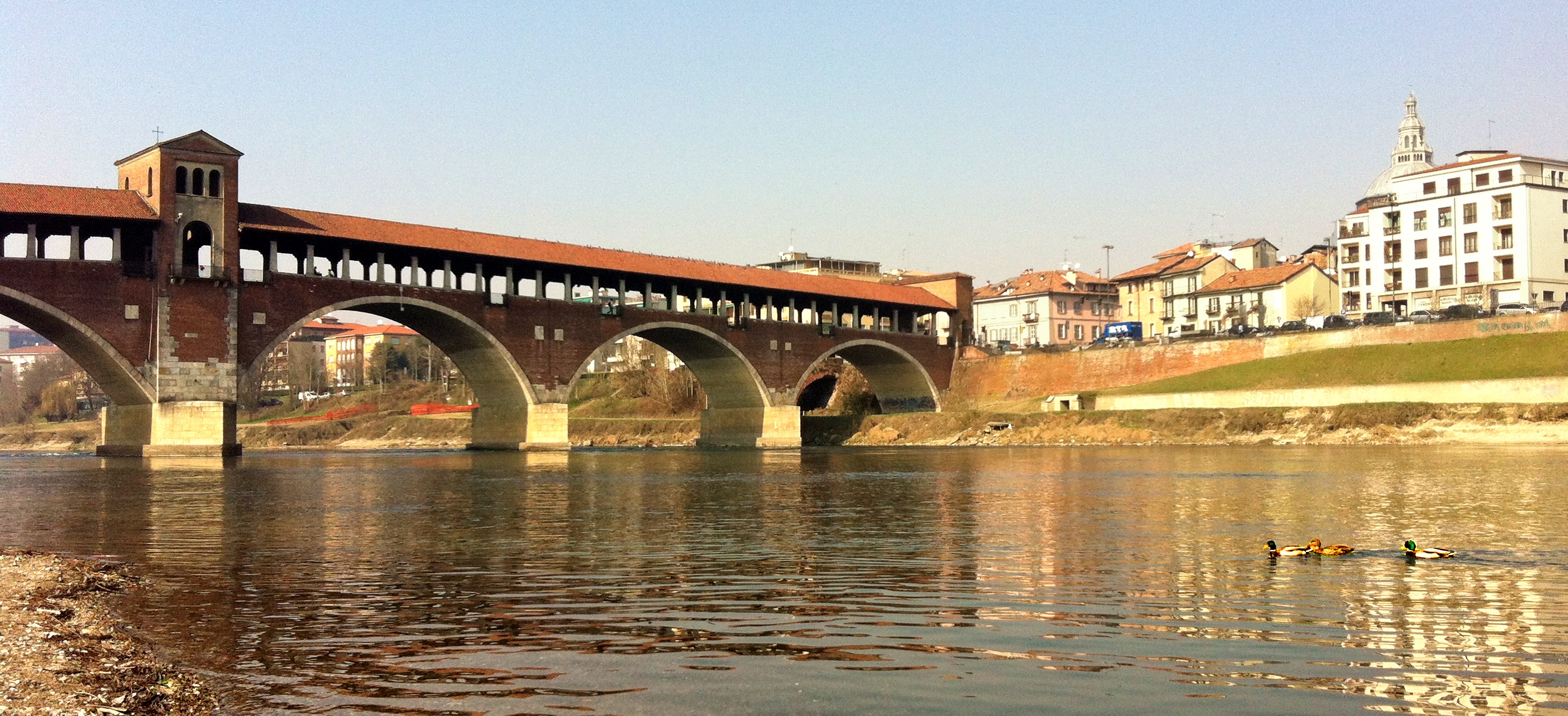 Covered Bridge in Pavia