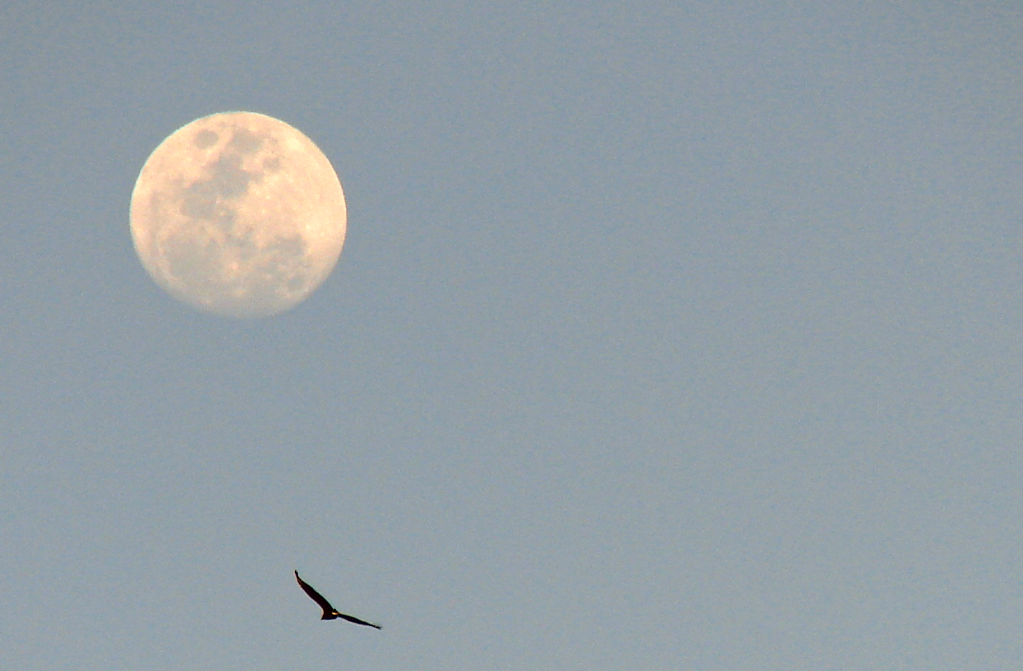 The Moon of Liberia (Costa Rica)
