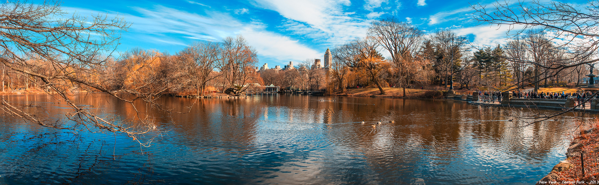 Central Park 5 photos