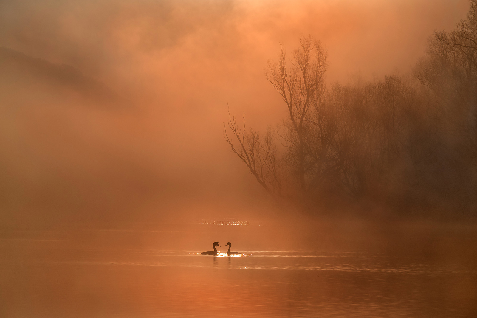 Romantic declarations of love