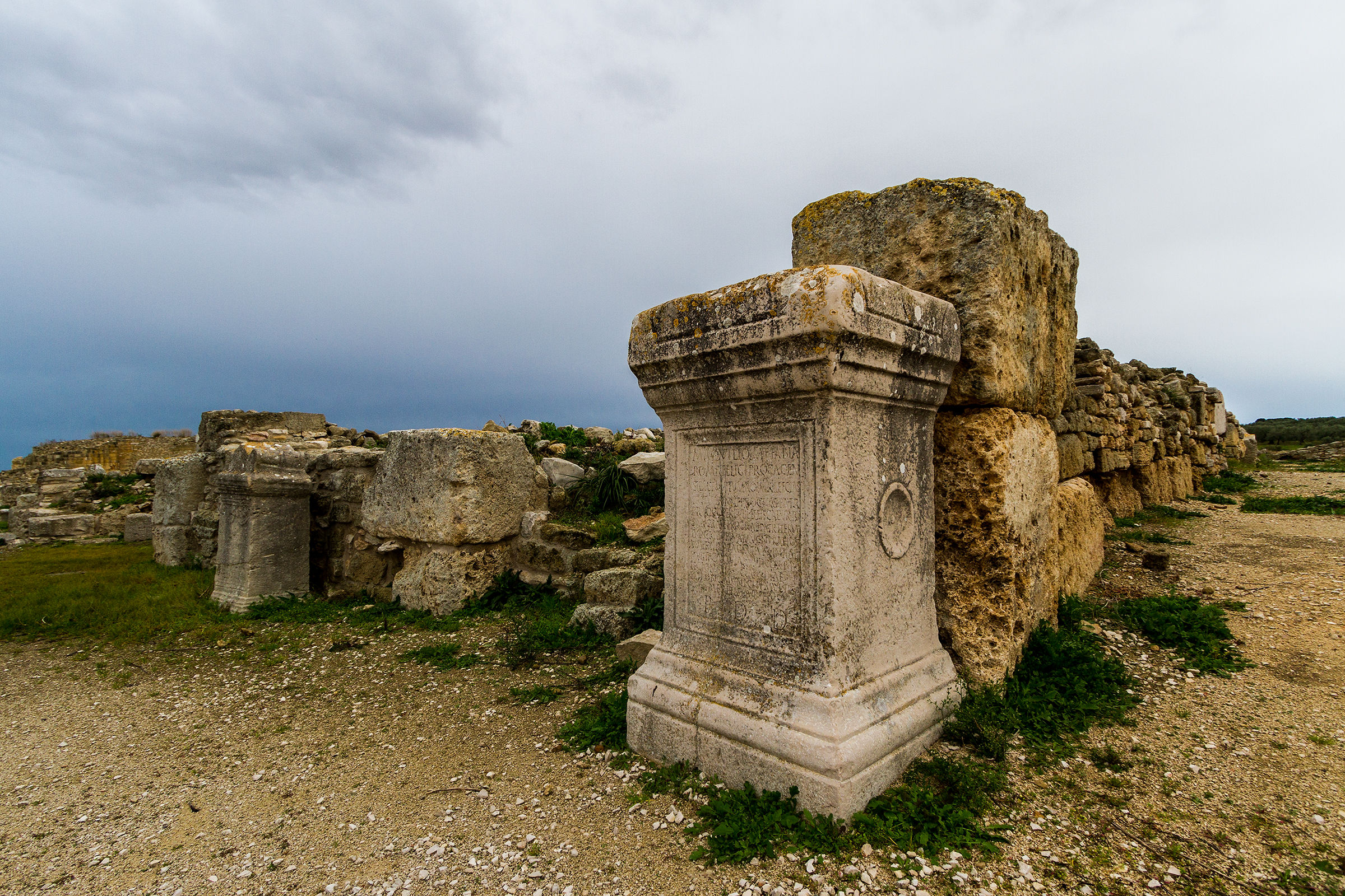 Canne della battaglia