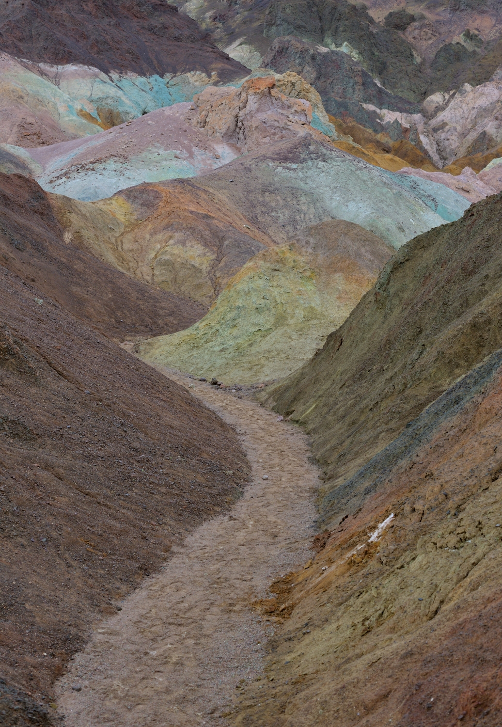 the artist palette -  la tavolozza II