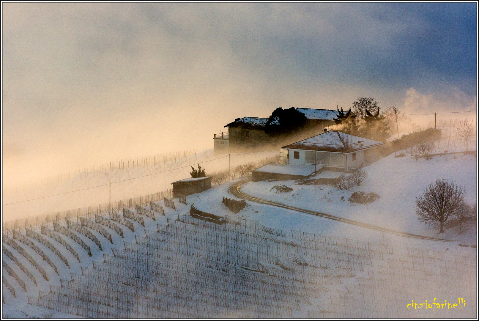 the Langhe winter.