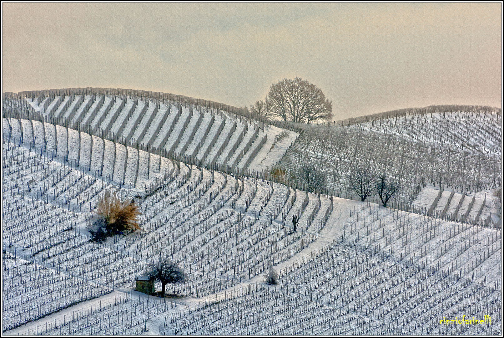 the Langhe winter.