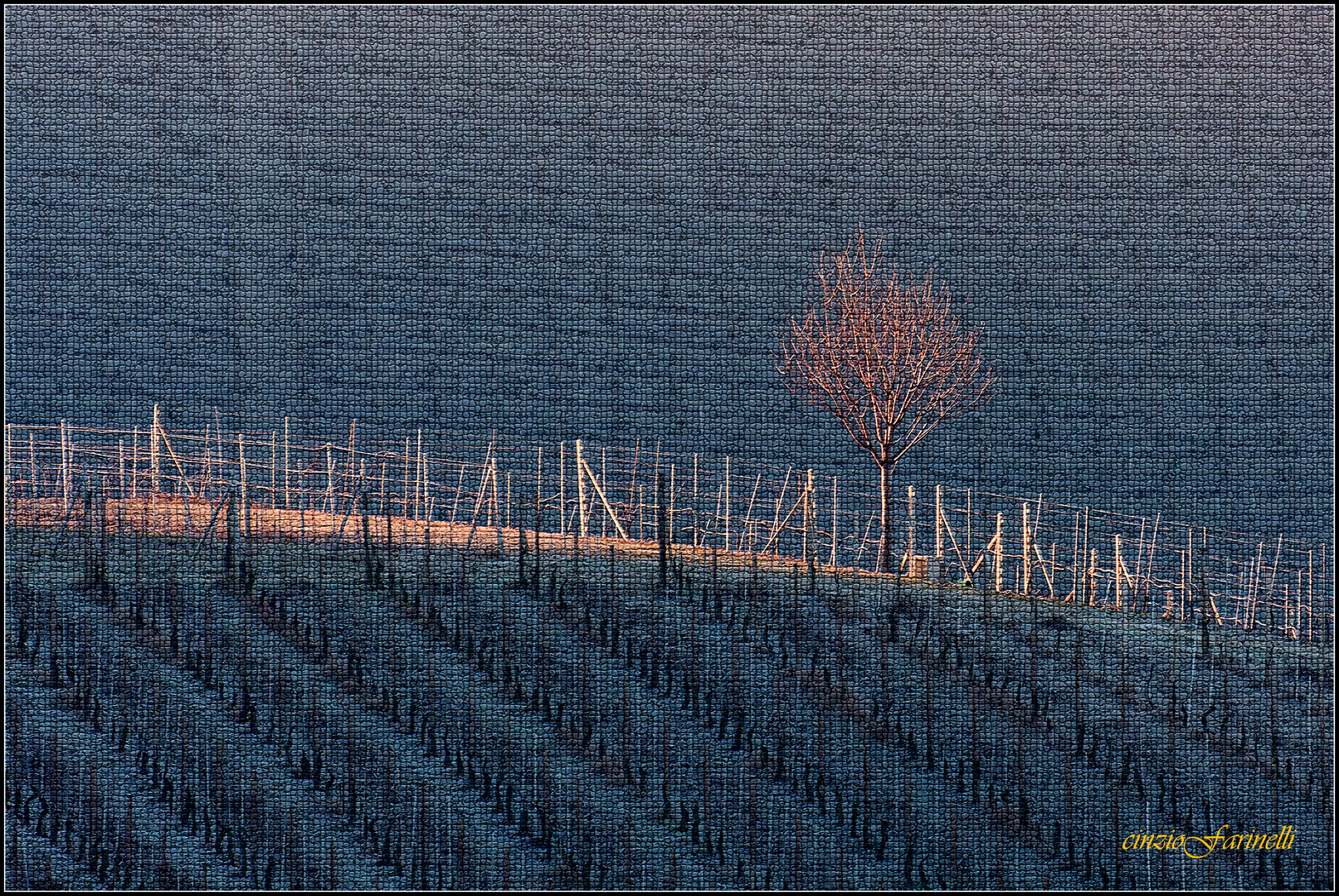 the Langhe winter.