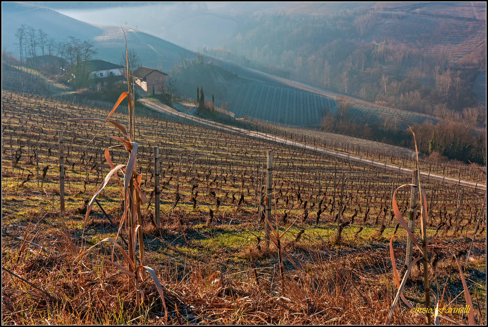 the Langhe winter.