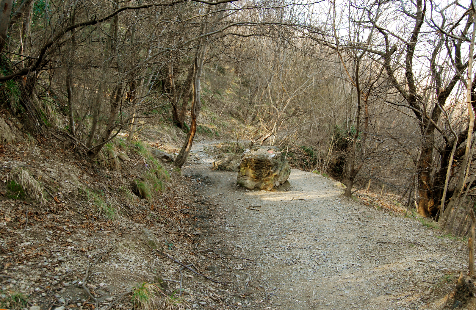 Sentiero al Forte Crocetta (Ge)