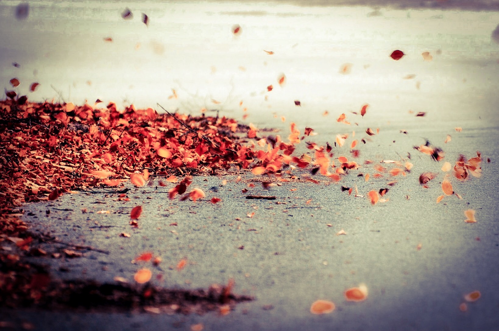 Esplosione autunnale