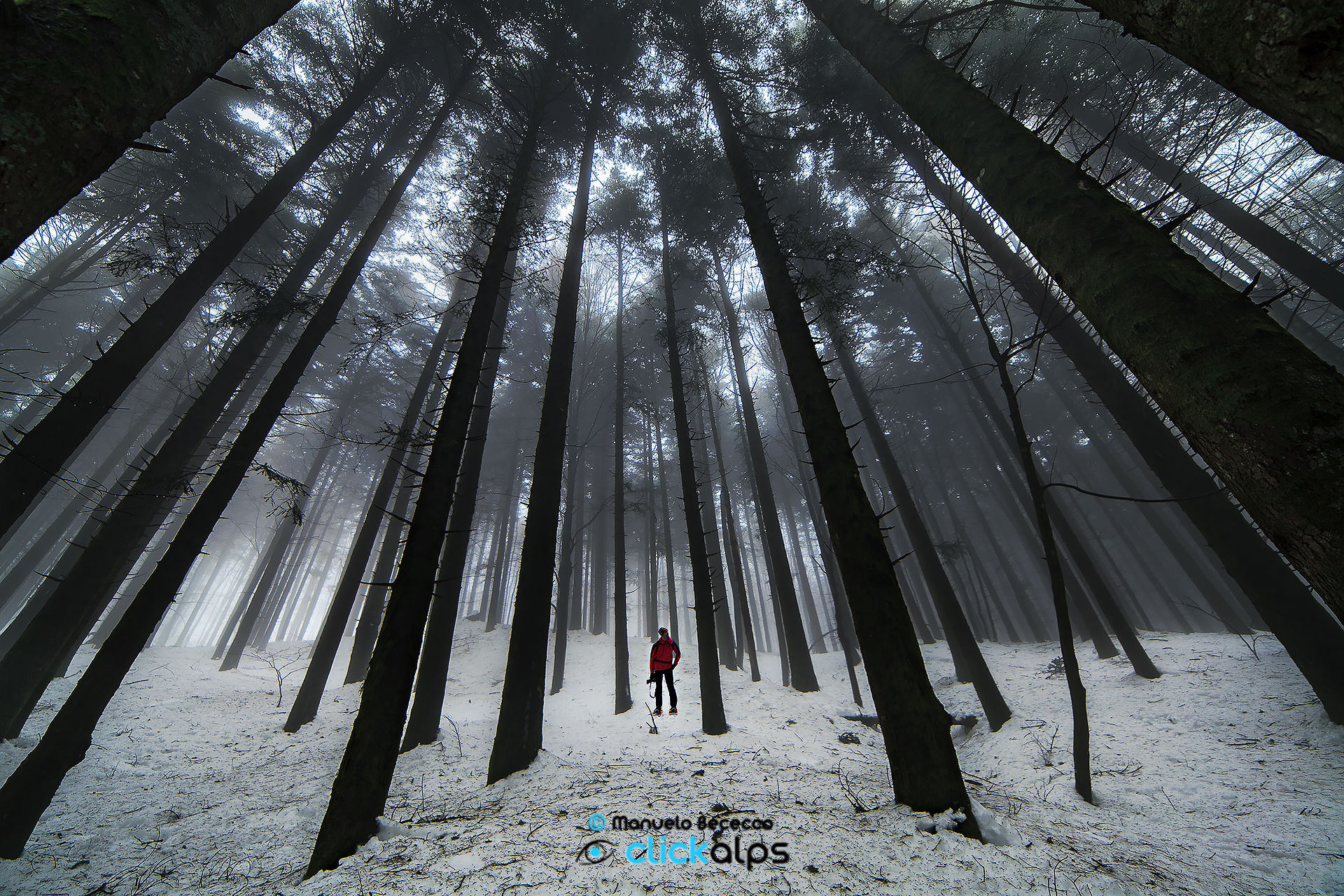 little man and the great nature