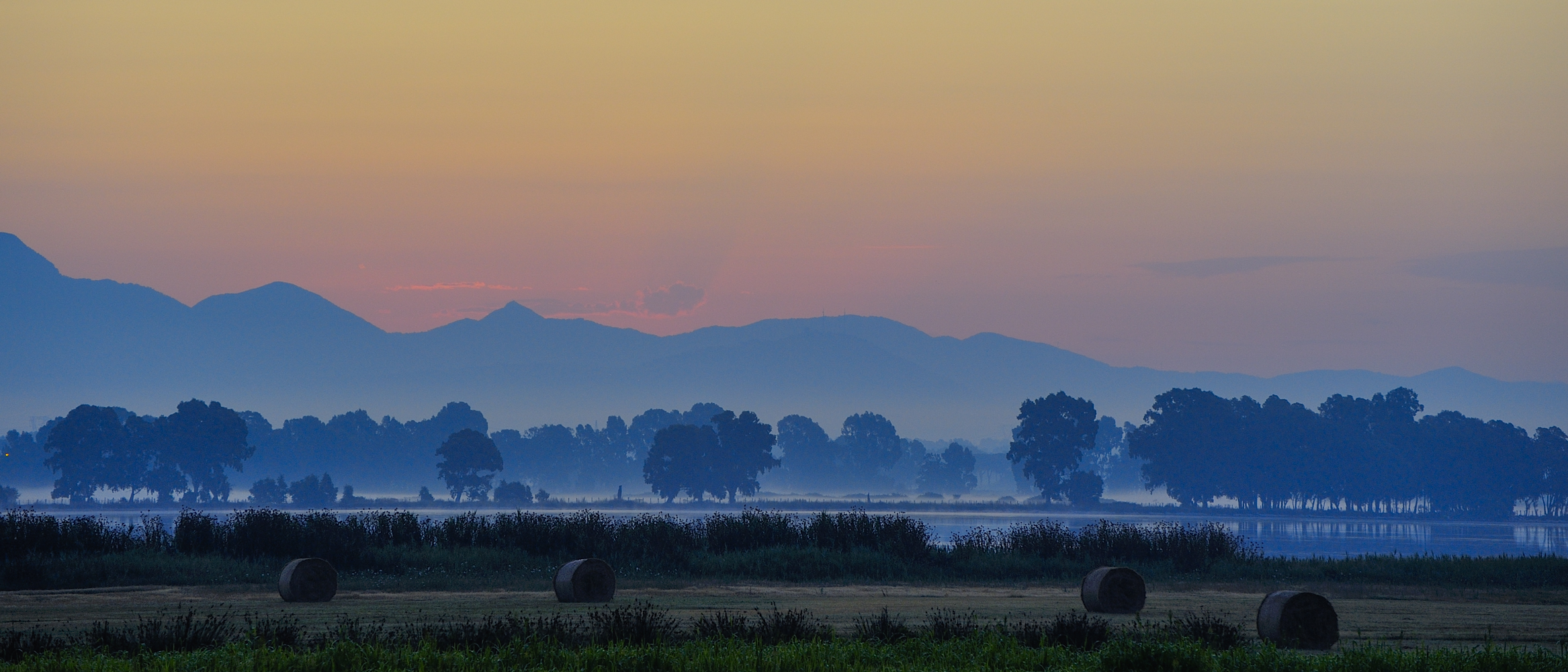 Alba on coastal lakes