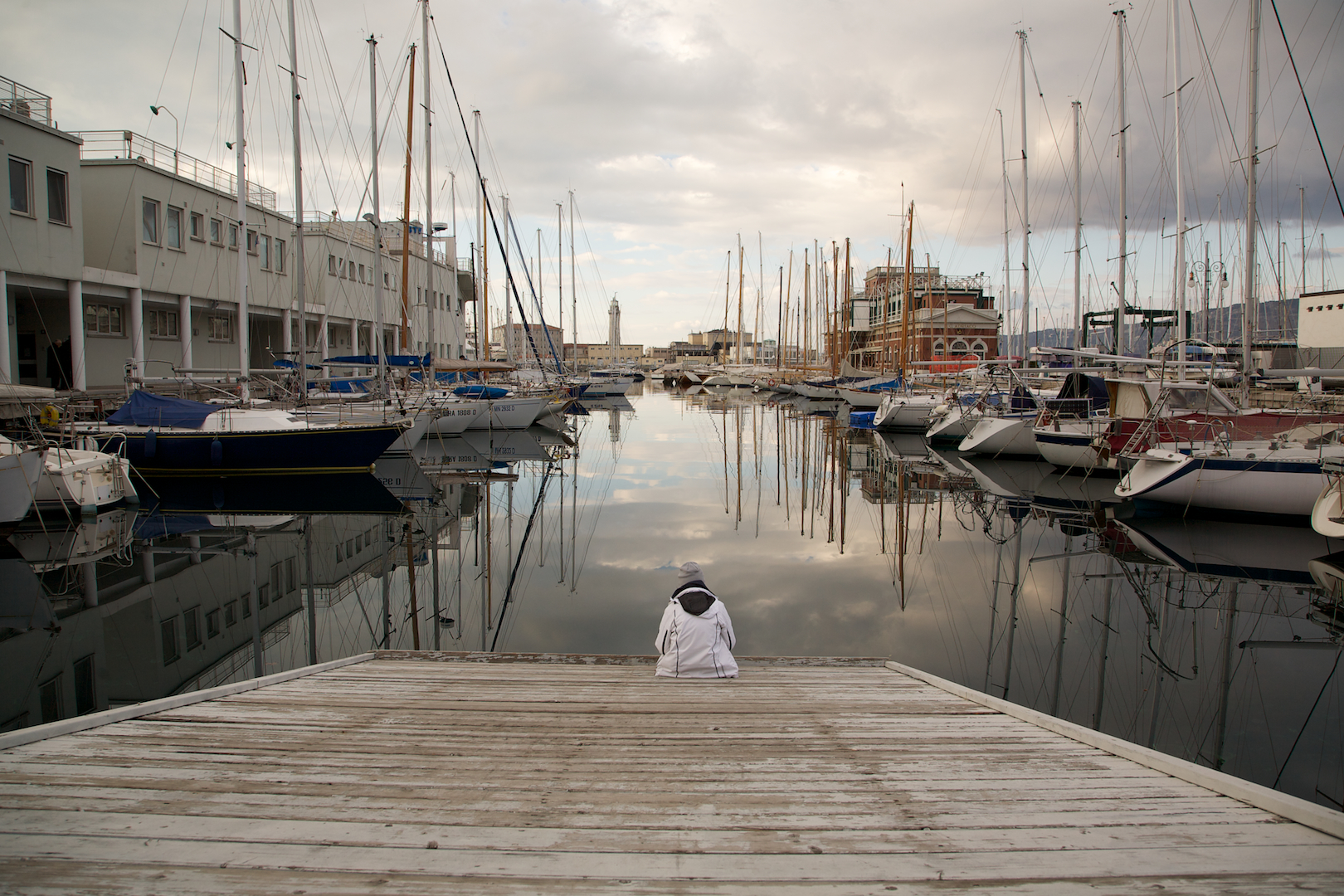 Alberi di solitudine...