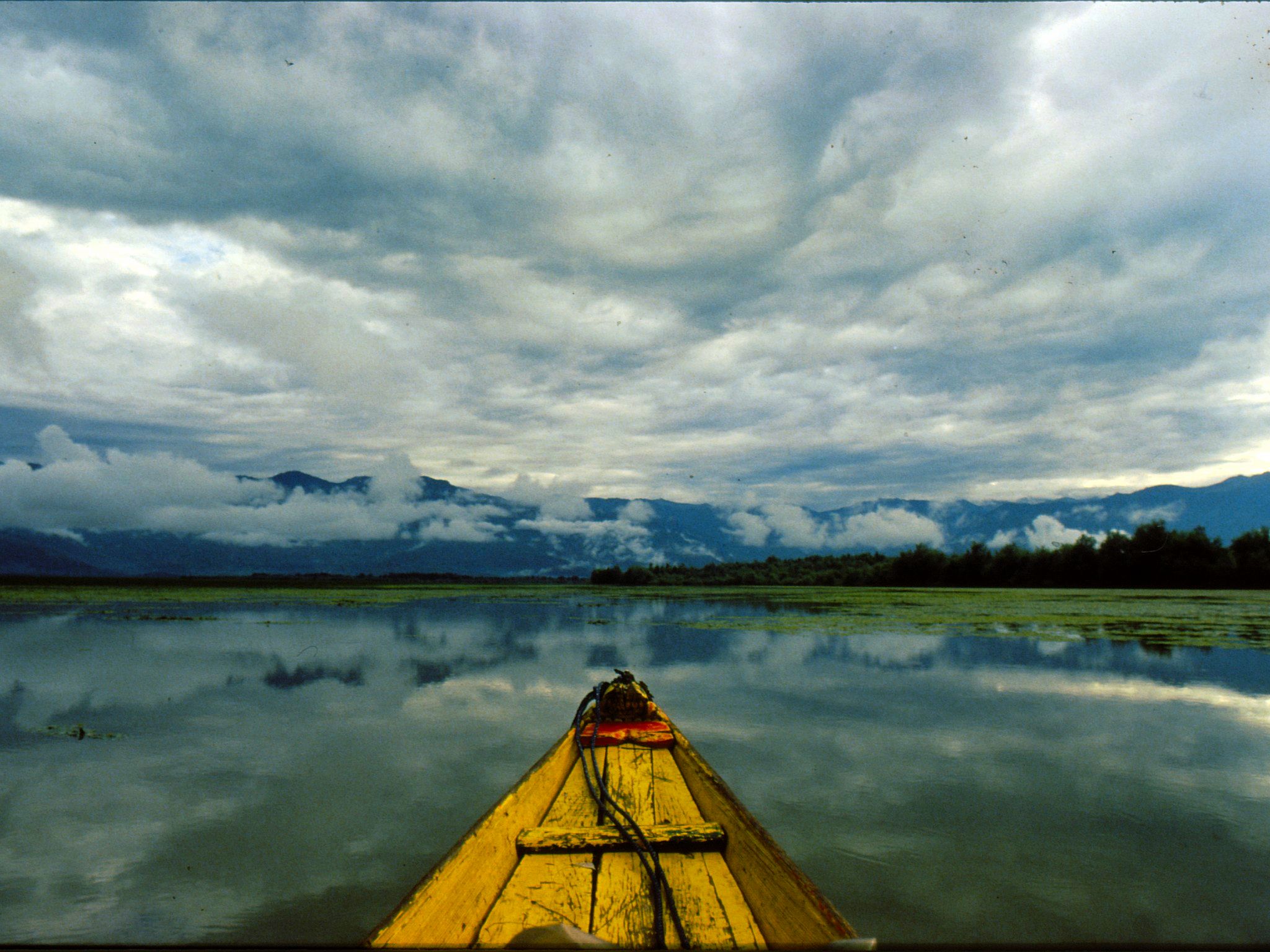 Dal Lake Kashmir