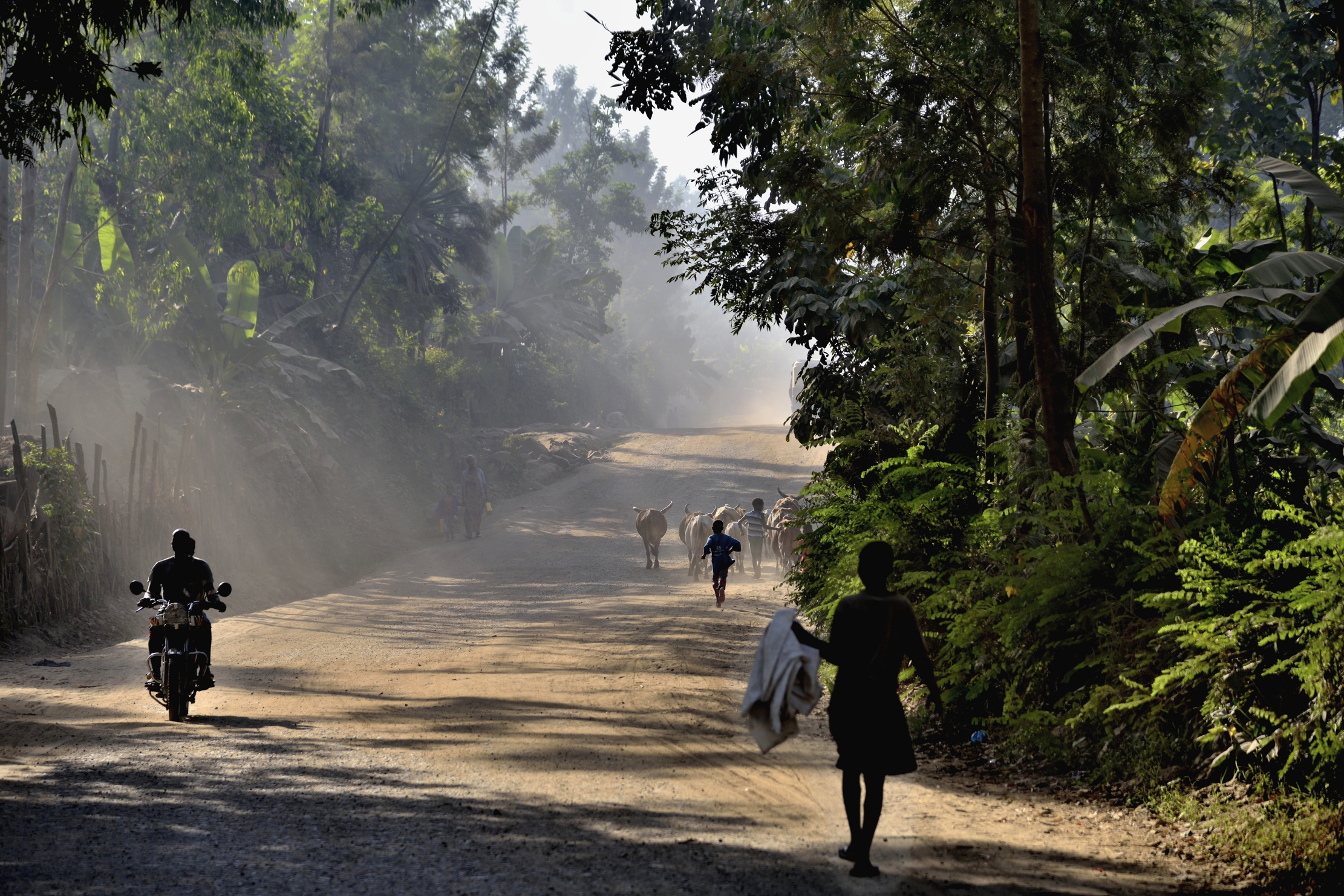 Etiopia 2015 - Jimka
