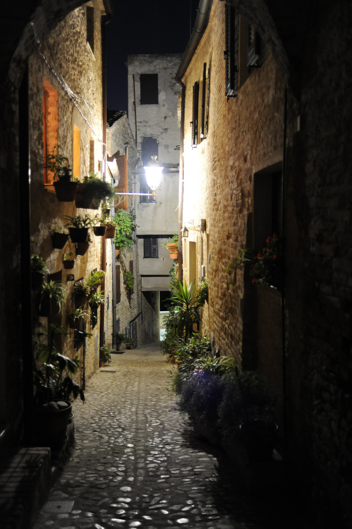 torre di palme, fermo