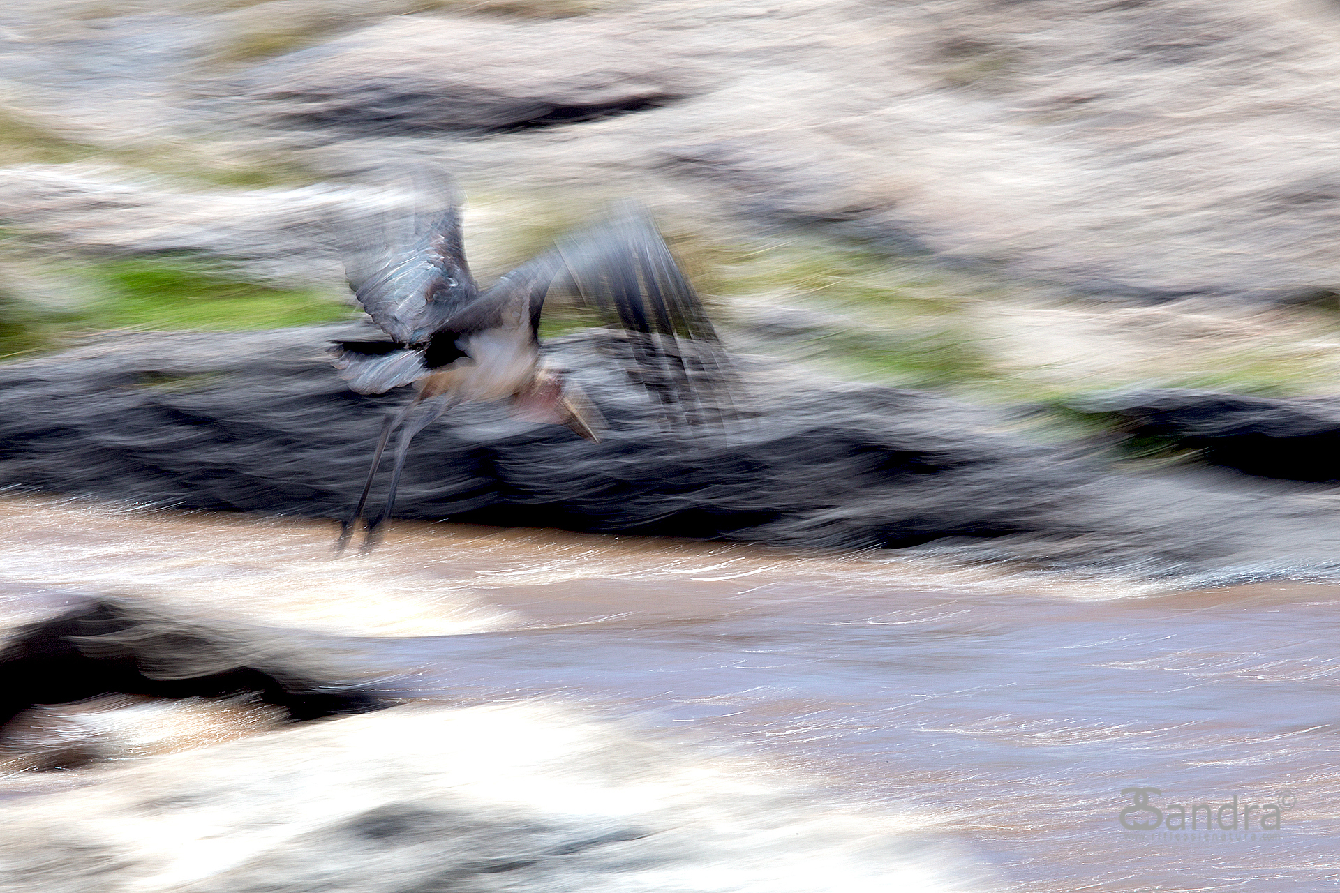 Marabu in acceleration