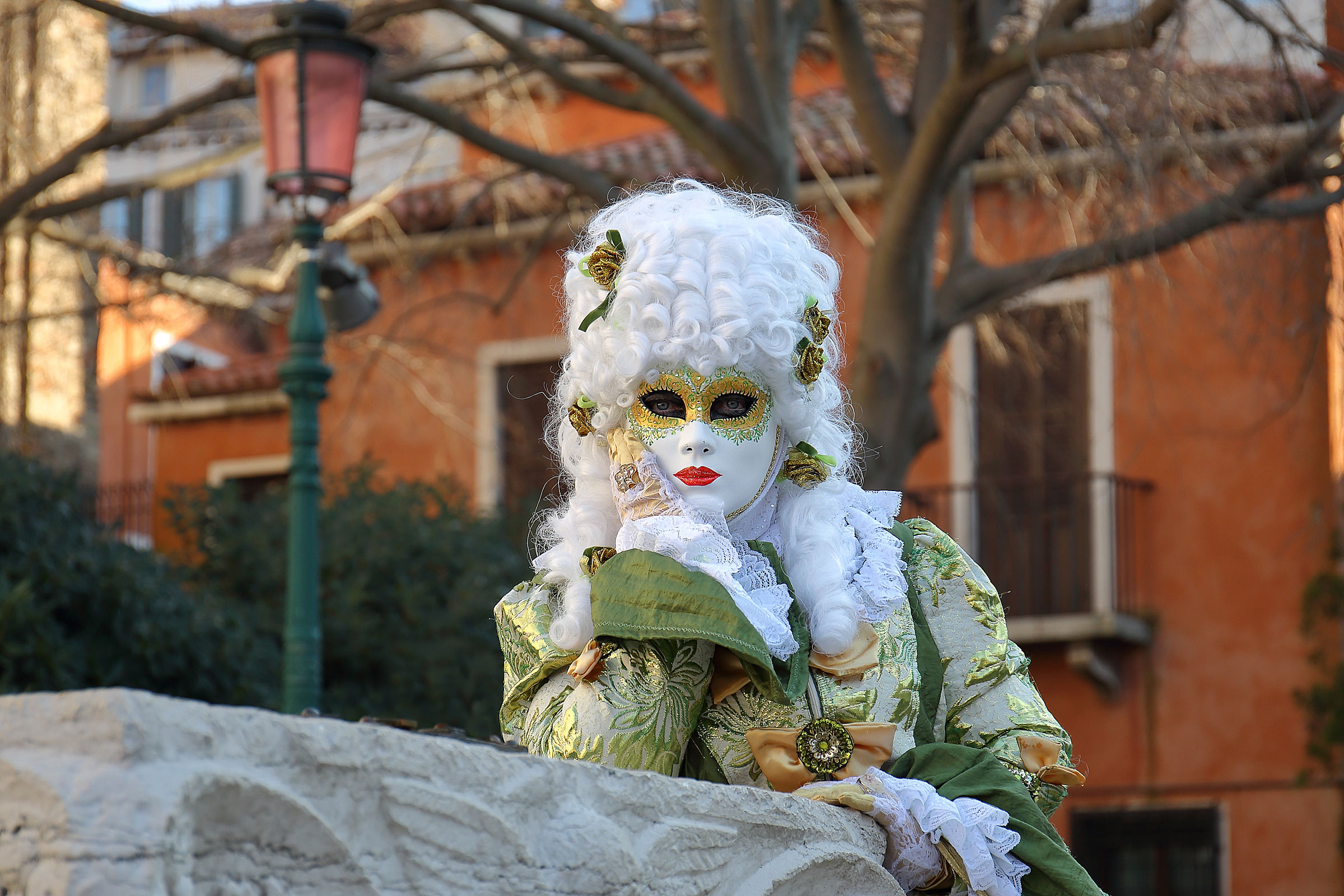 Venice Carnival 2015