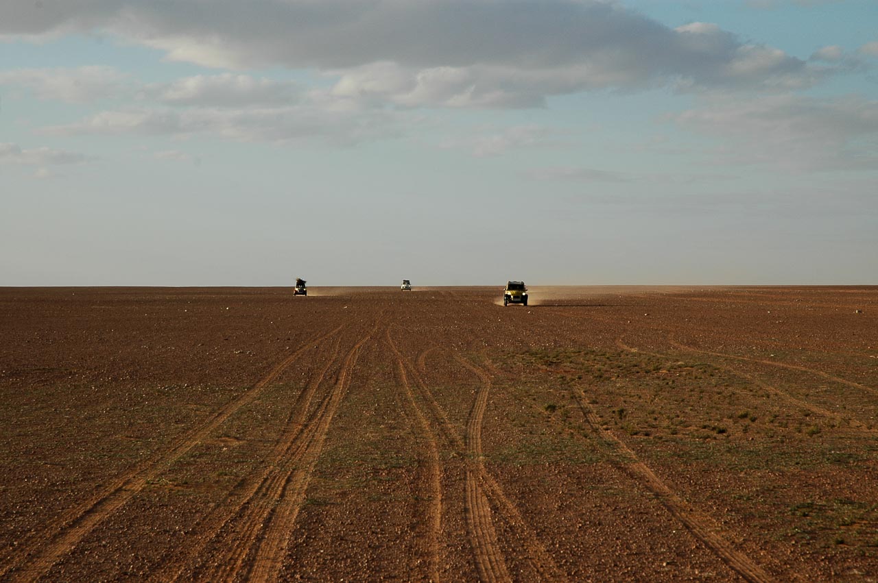 2cv allo stato brado