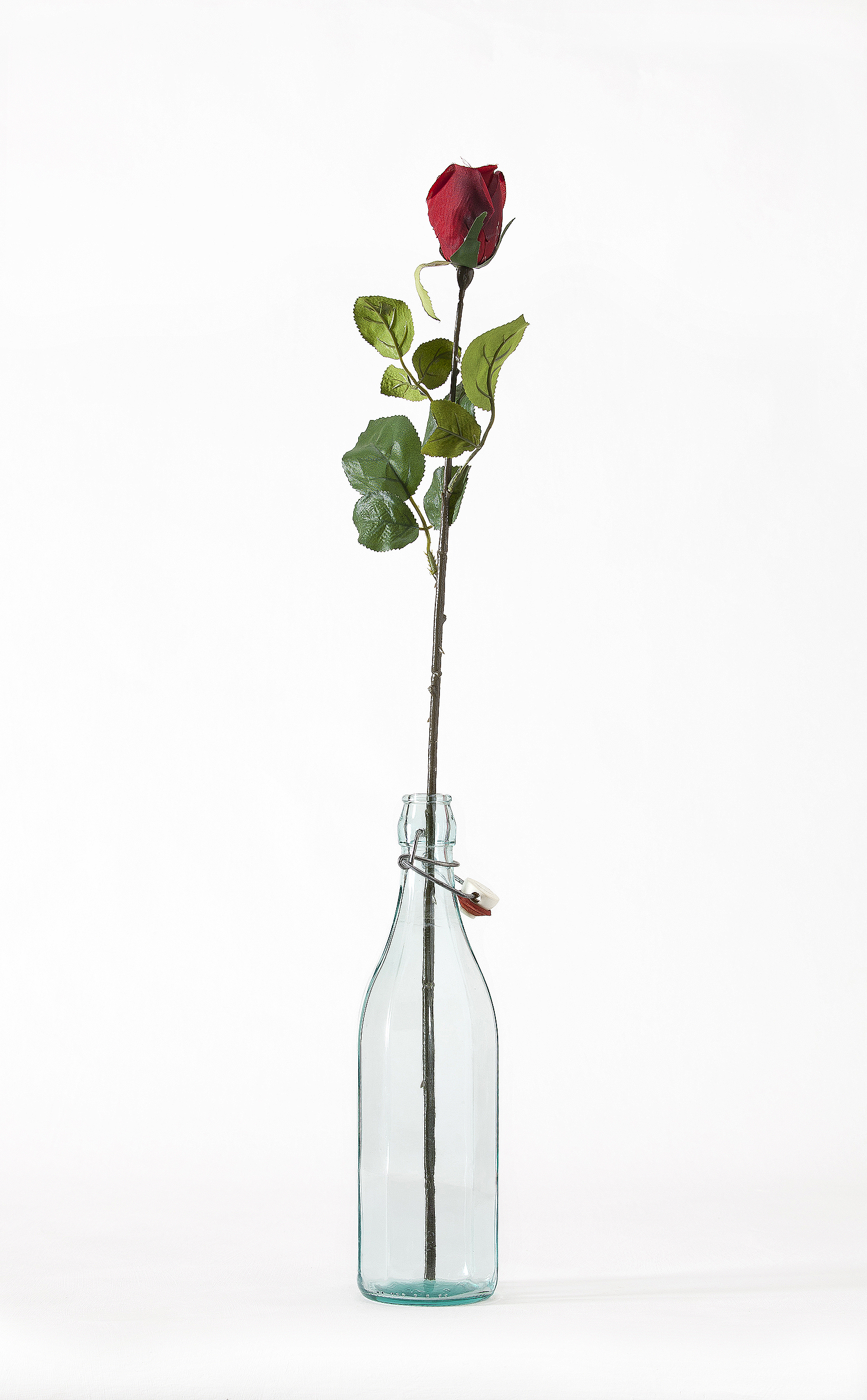 Messaggio in bottiglia.