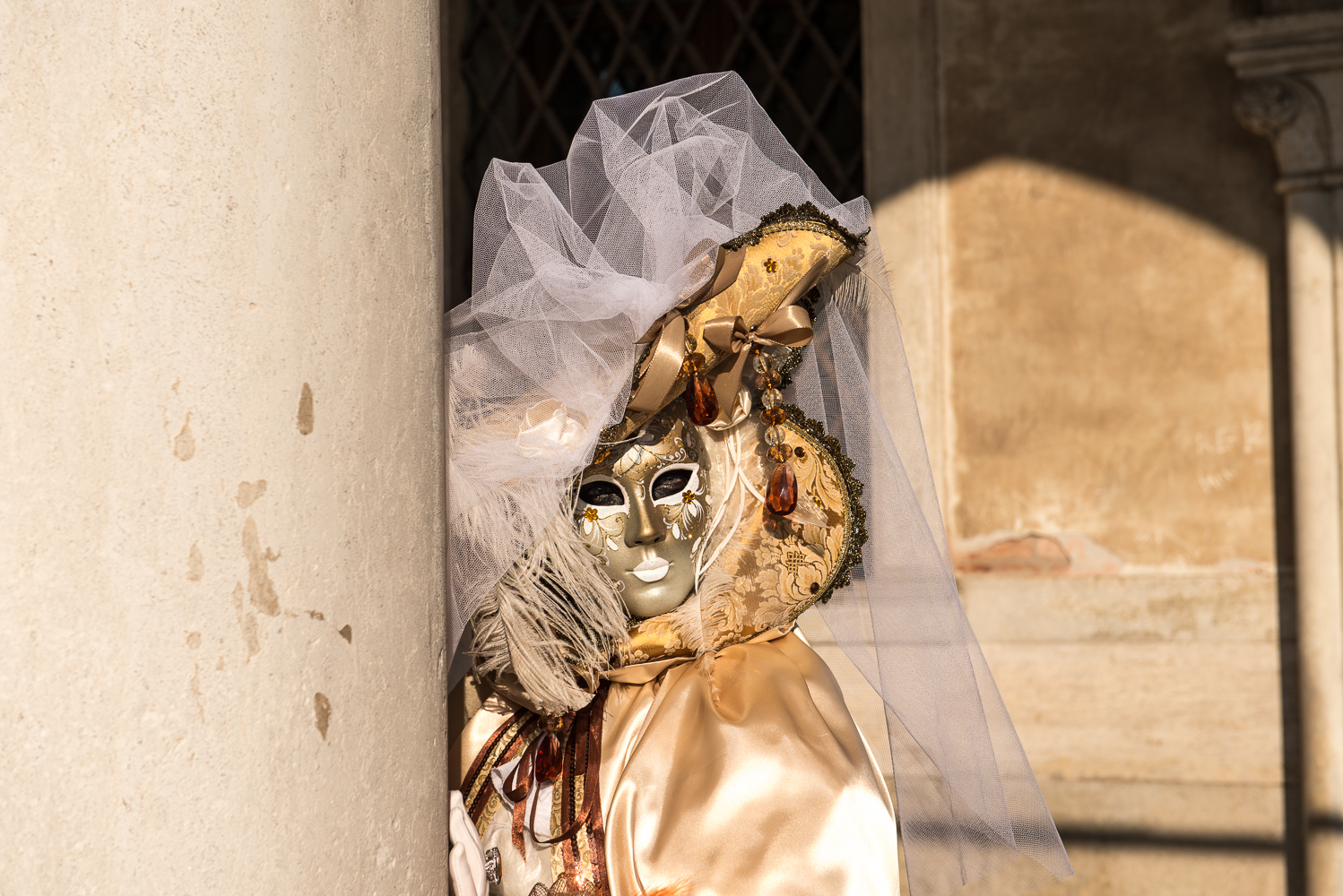 Venice Carnival 2015