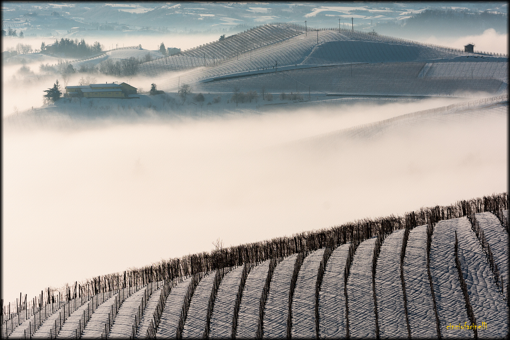 the Langhe winter........