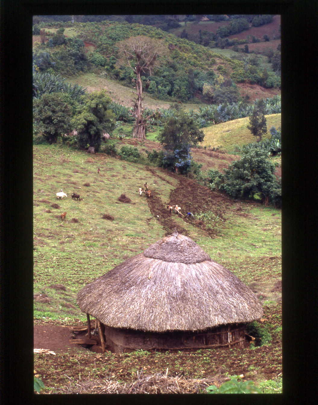 Along the way to get to the Surma