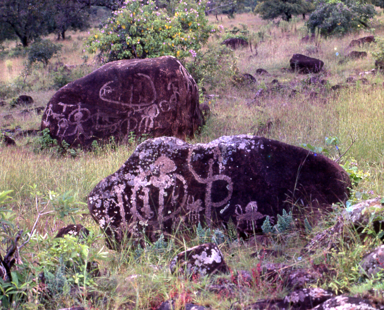 Drawings nearby village