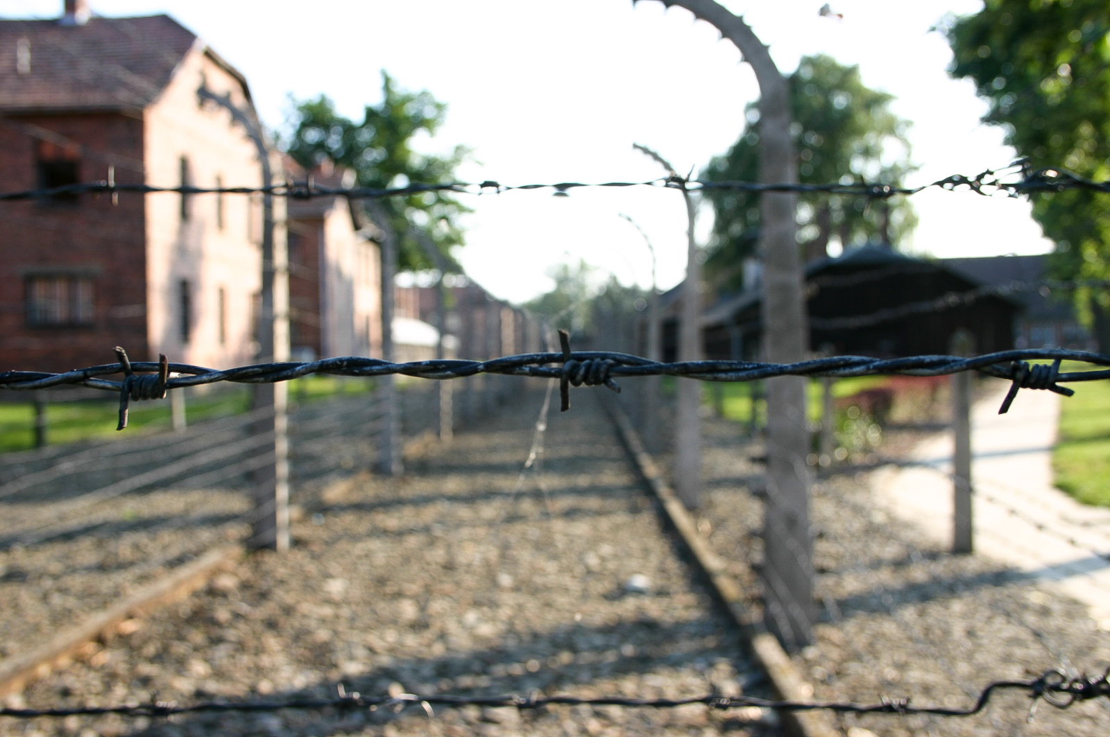 Auschwitz 5