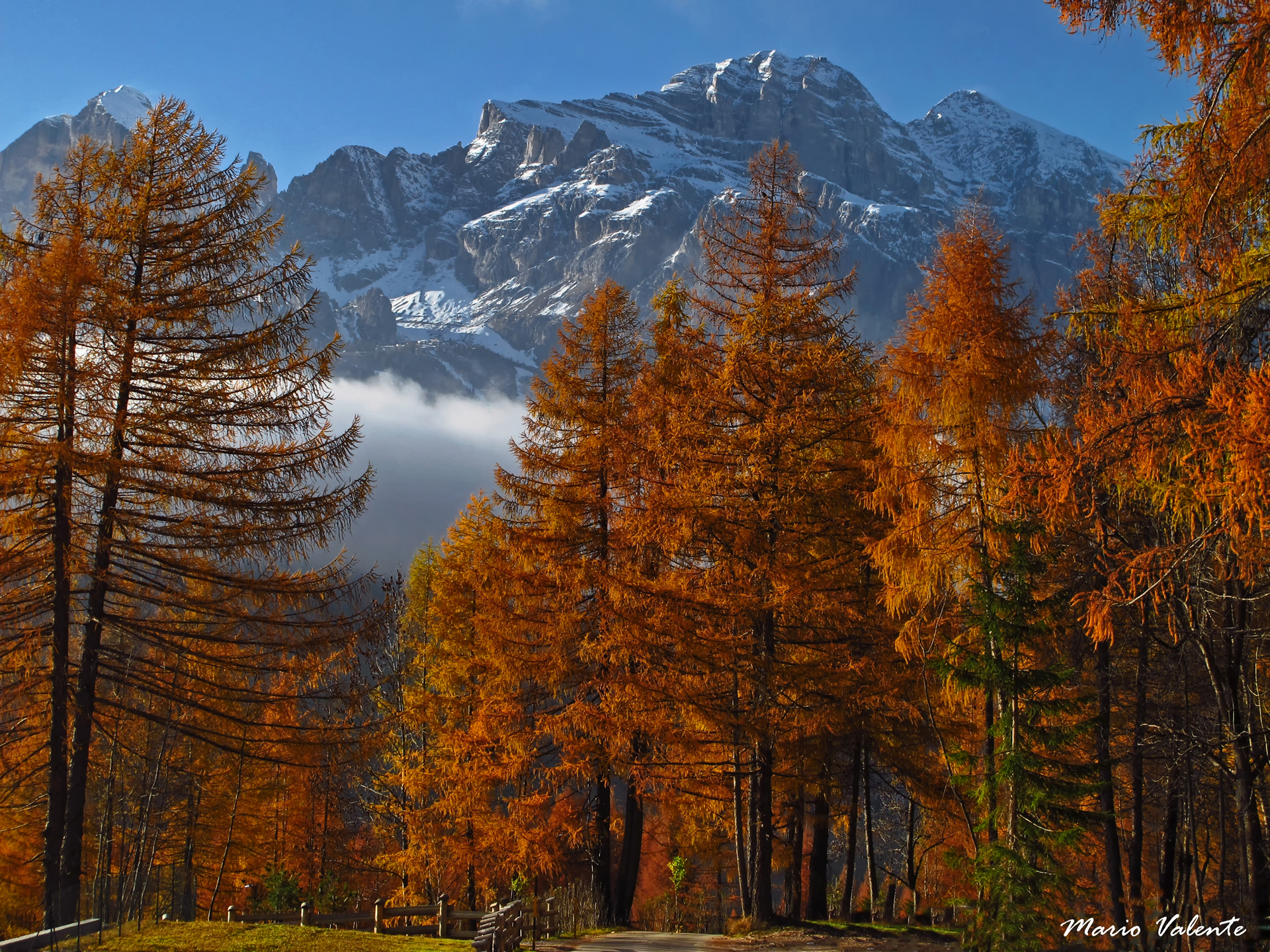 Autunno a Cortina