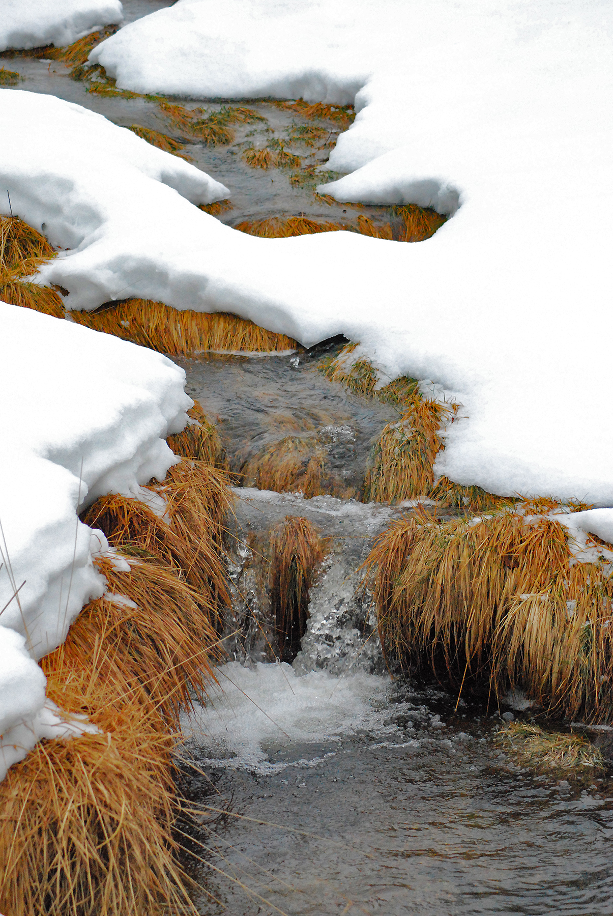 Acqua di Neve