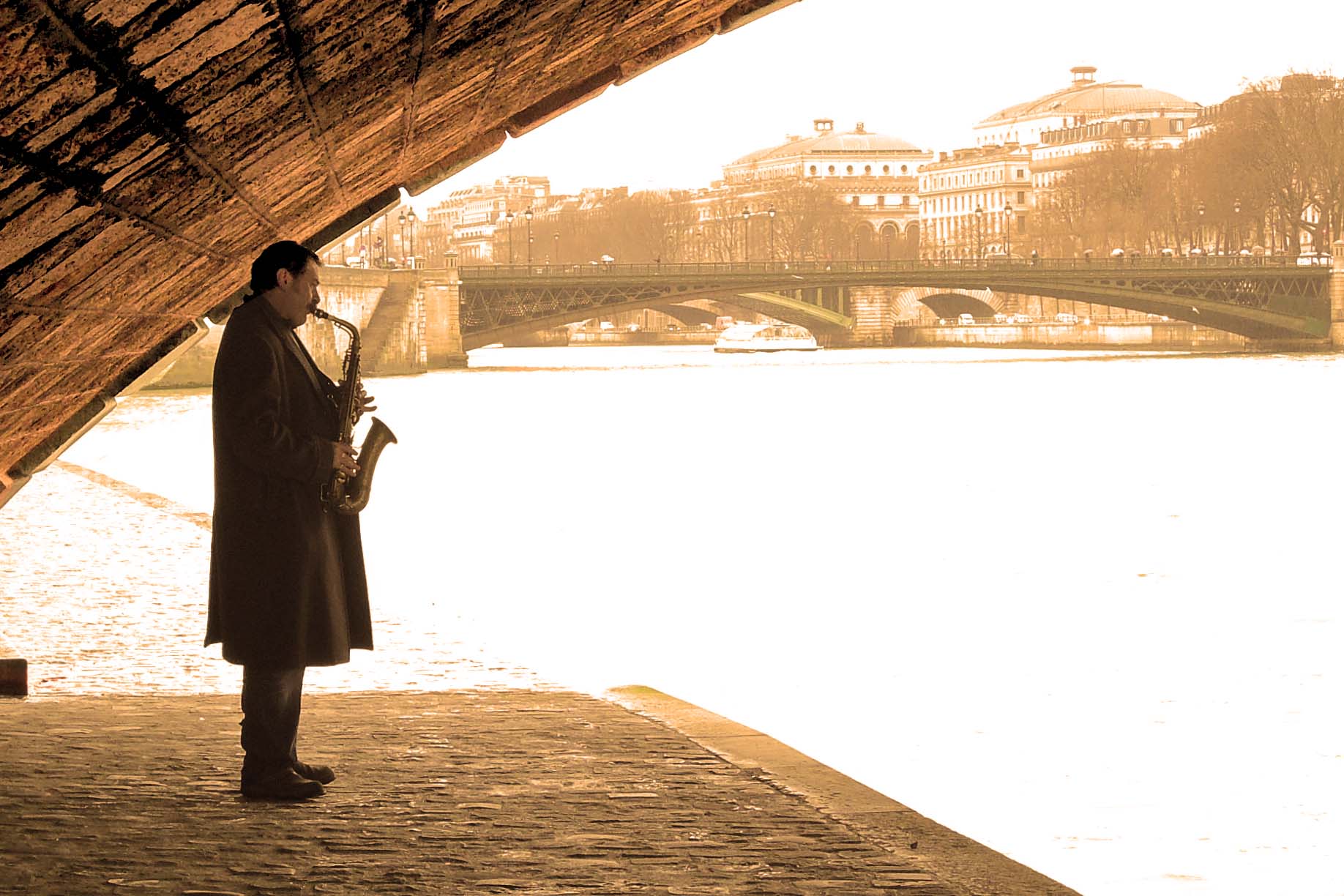 Il musicista di Notre Dame