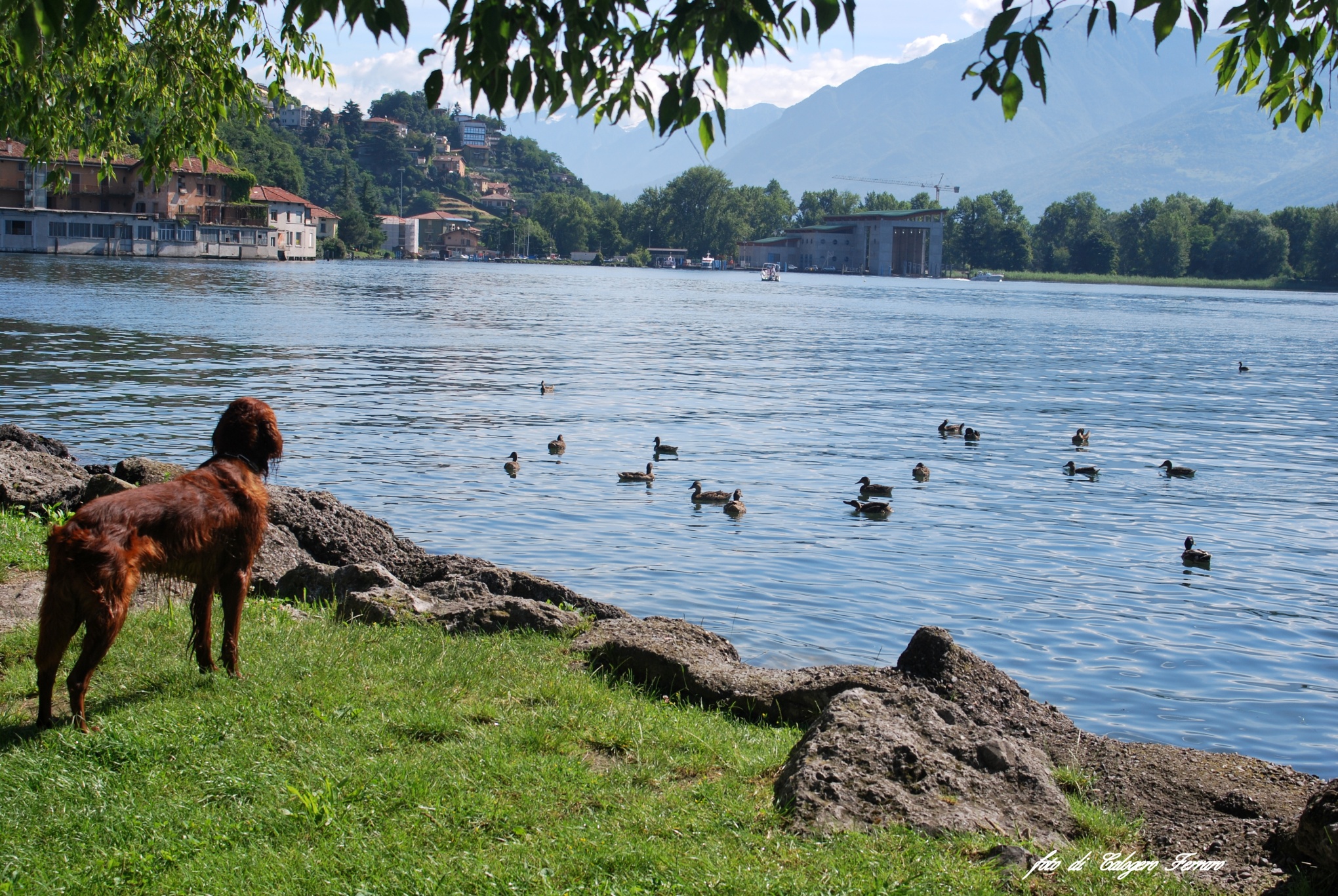Il lago di Lovere
