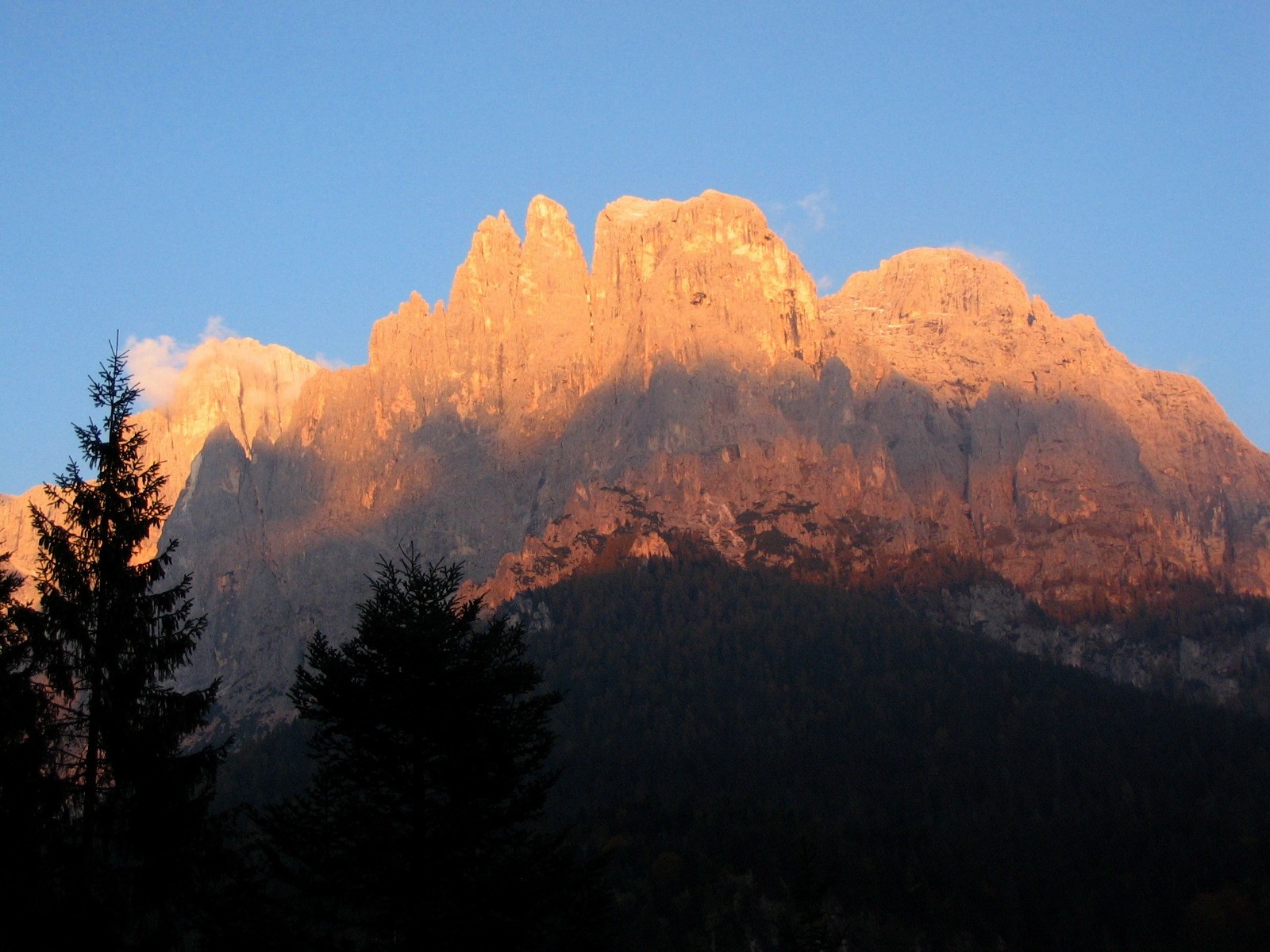 Cattedrale di corallo