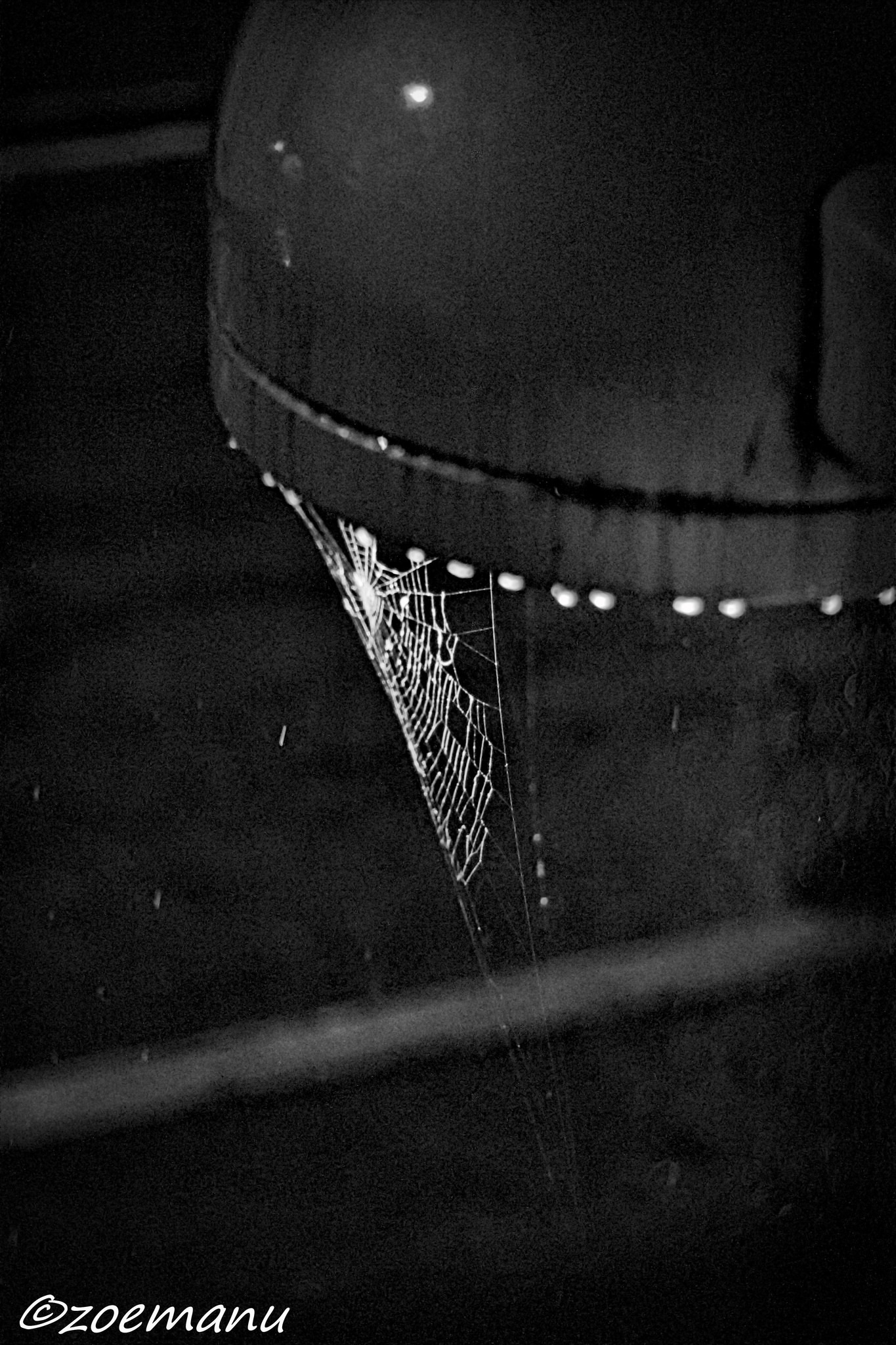 Pioggia per tutti ...