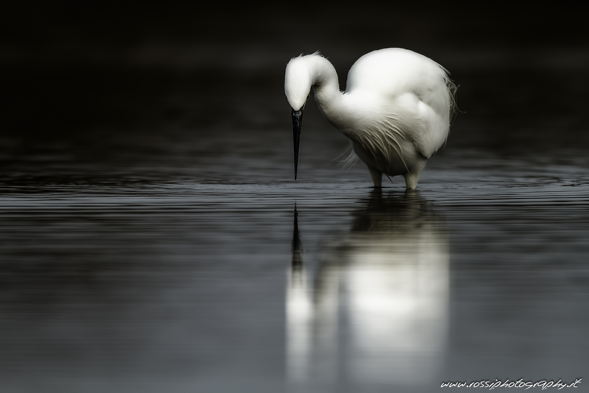 Specchio delle mie brame....