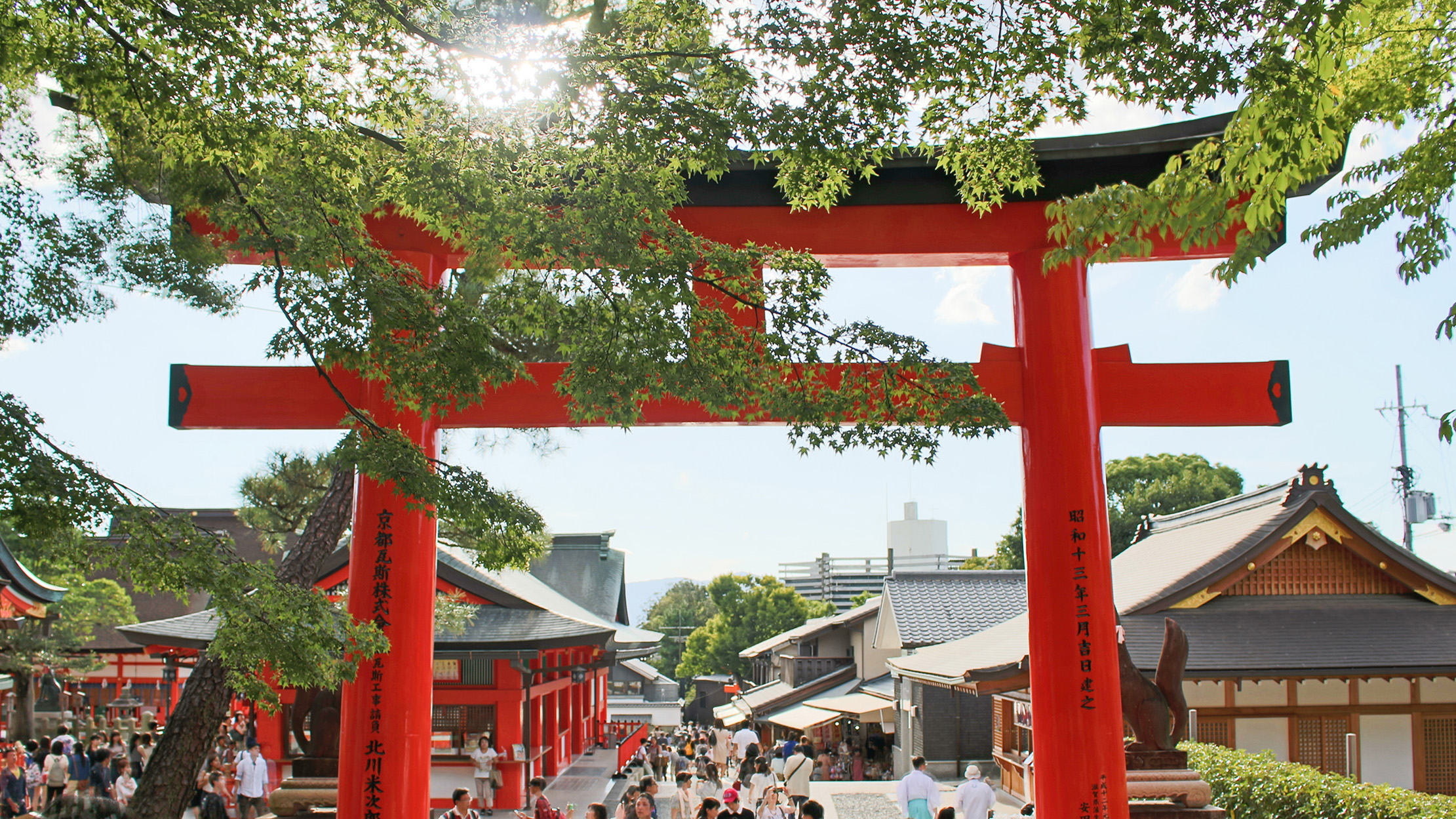 Torii controluce a Kyoto