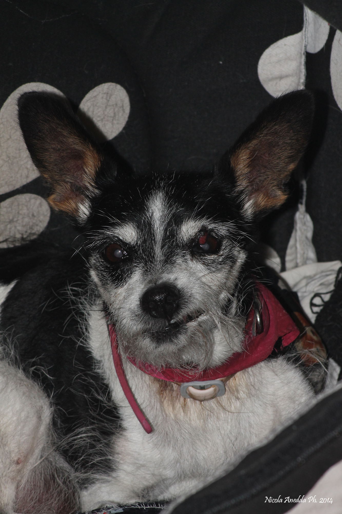 l'età si nota..ma 6 sempre bella nonoste i tuoi 2...