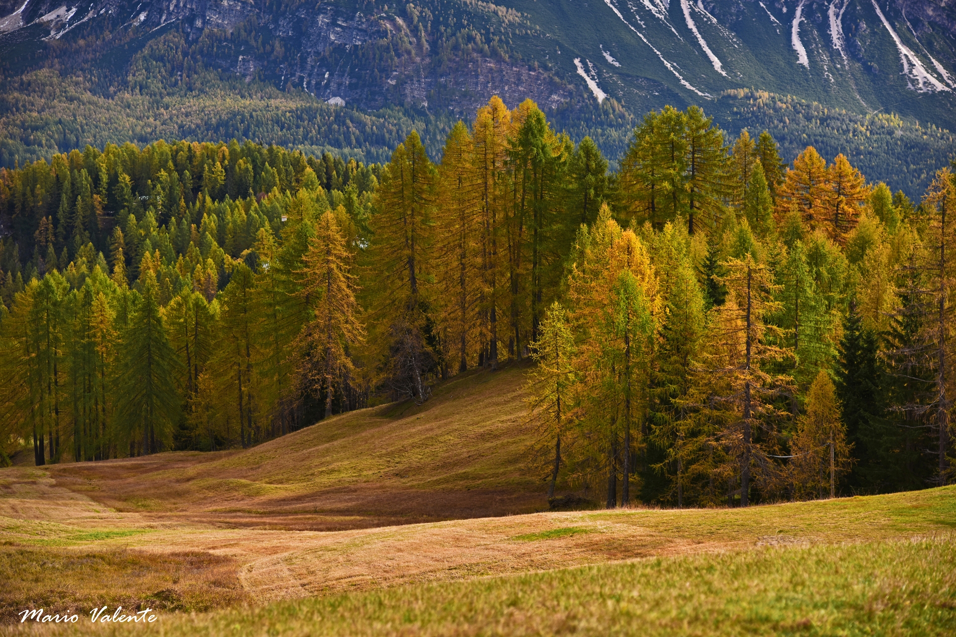 Primi colori autunnali