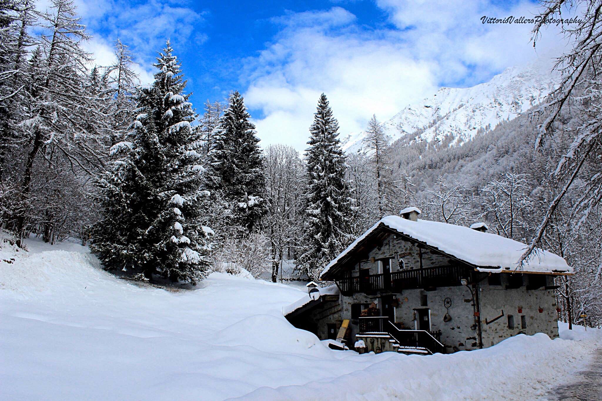 There is a house in the woods ...