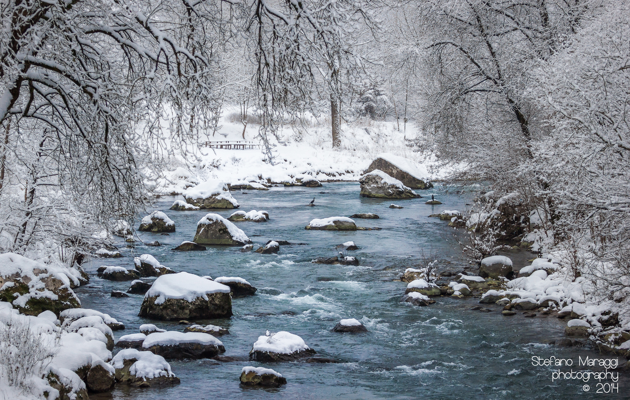 The river and the snow