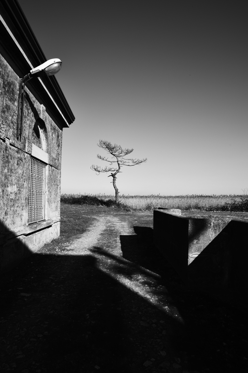 In the valley of Conche