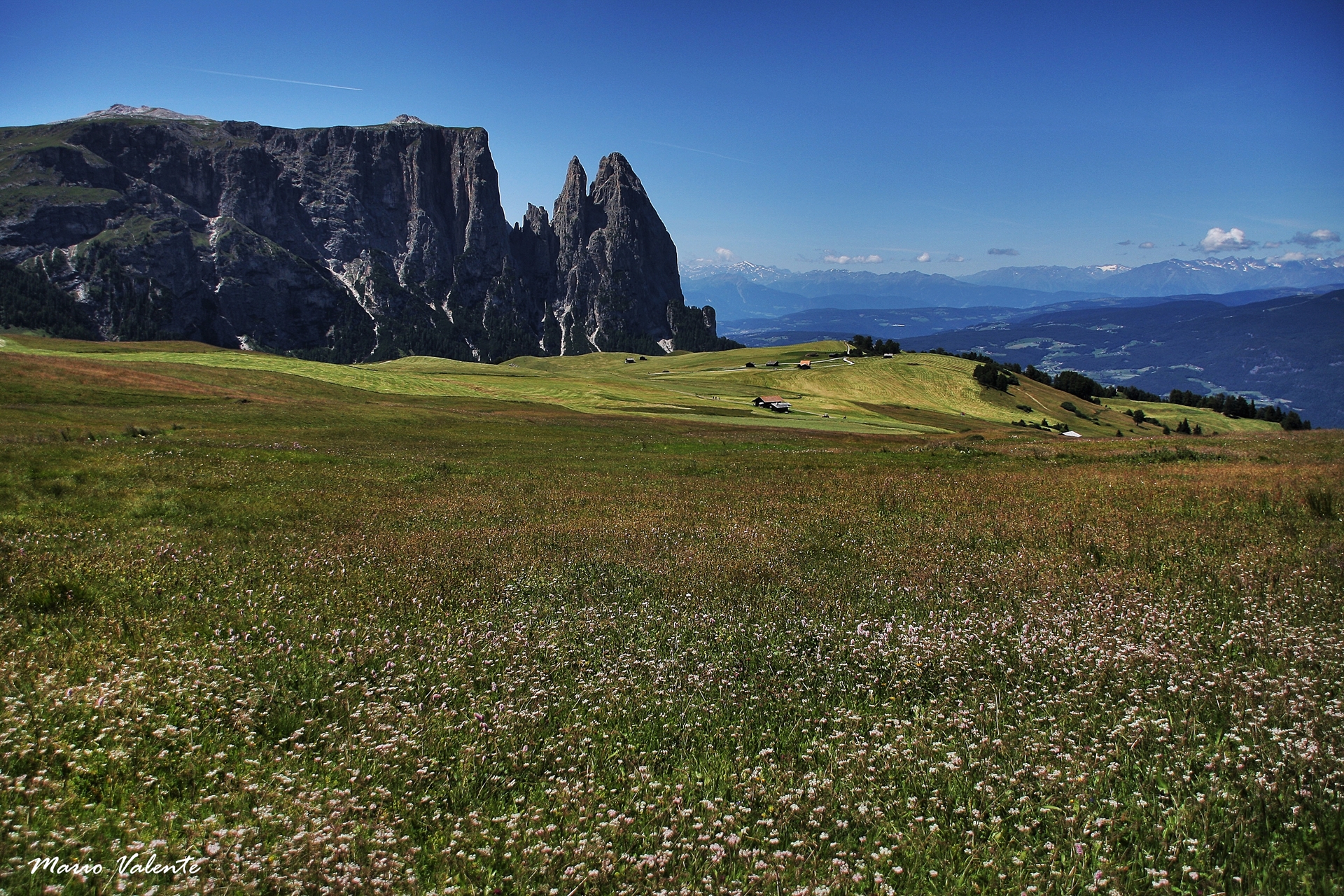 Alpe di Siusi - Sciliar