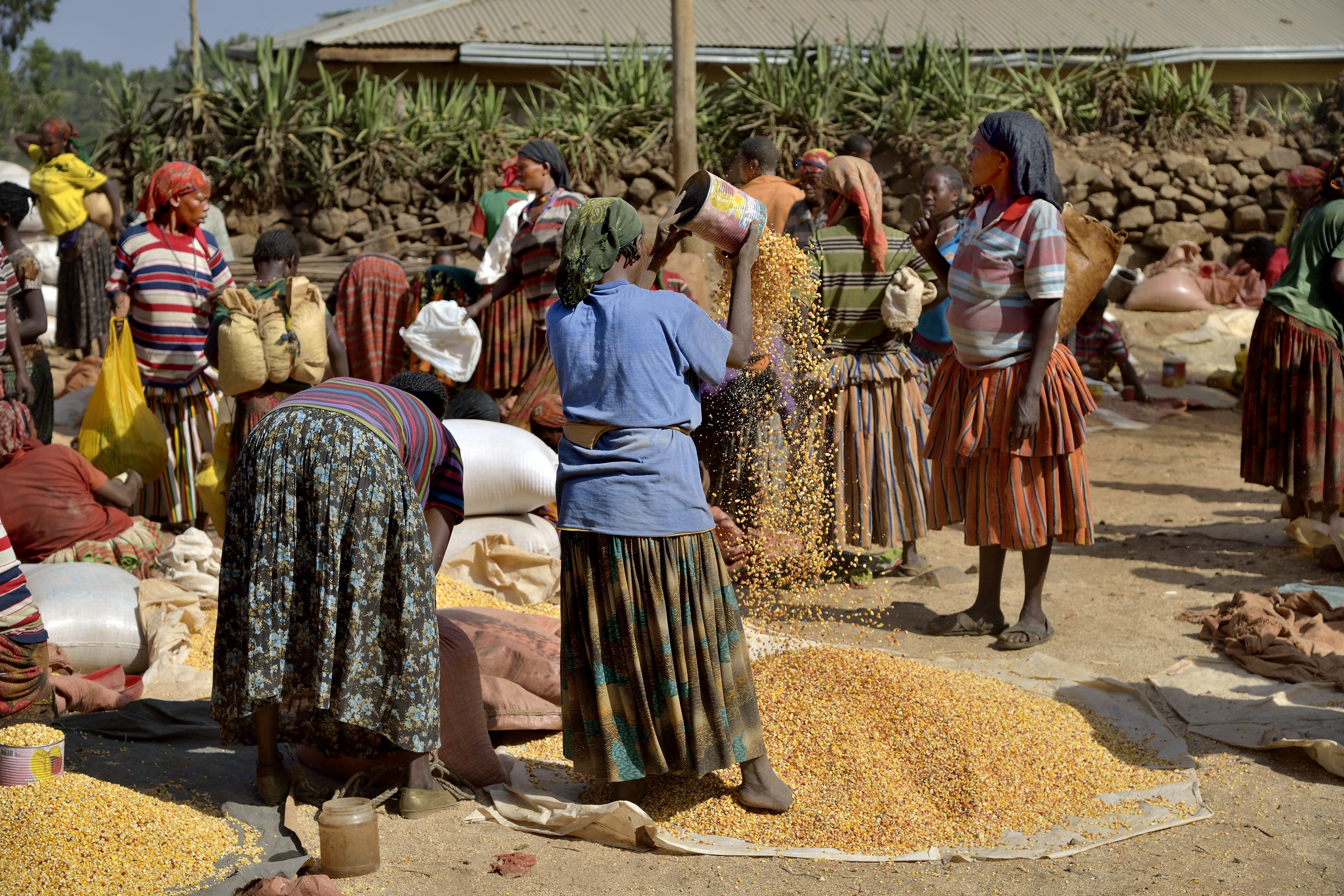 Etiopia 2015 - Nel mercato di Konso