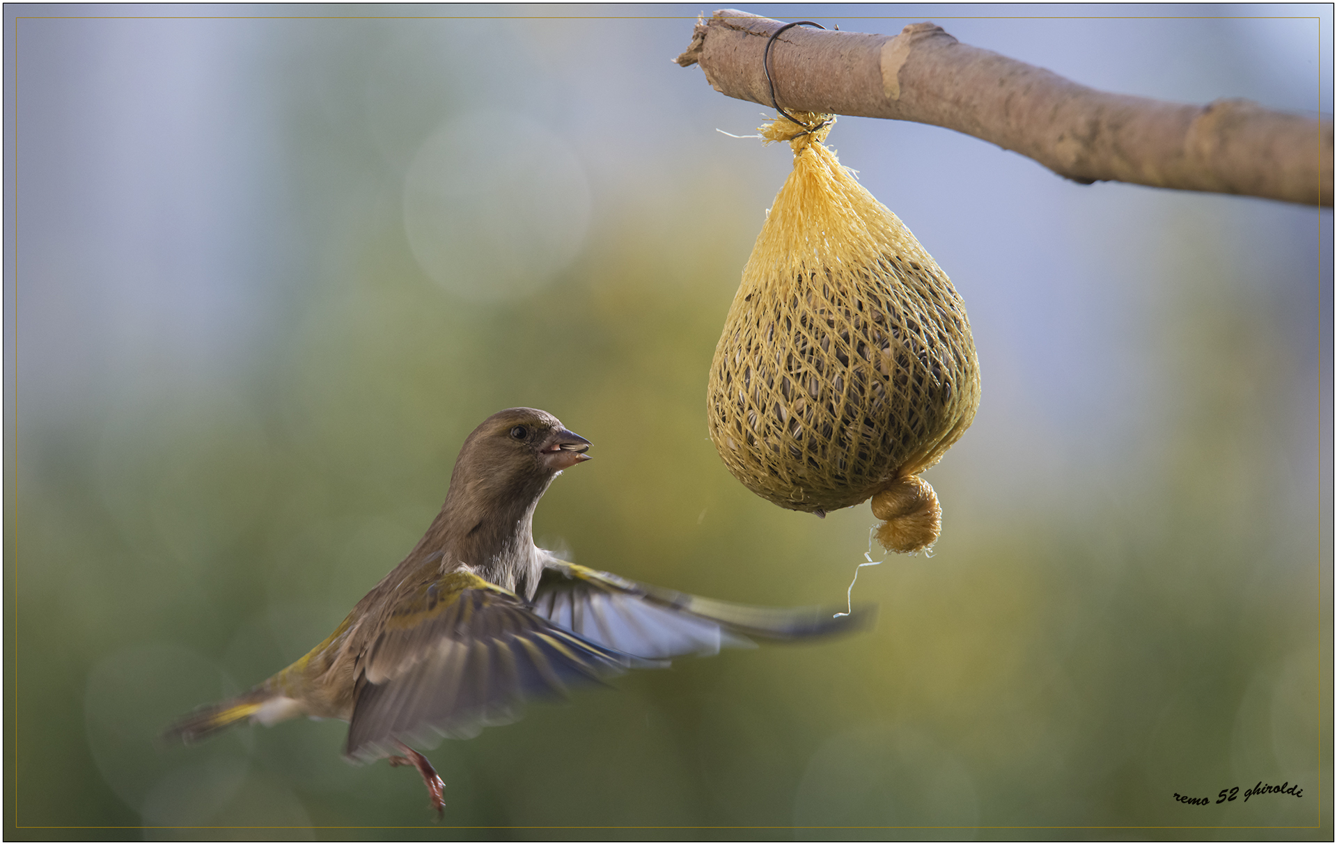 the meal on the fly.