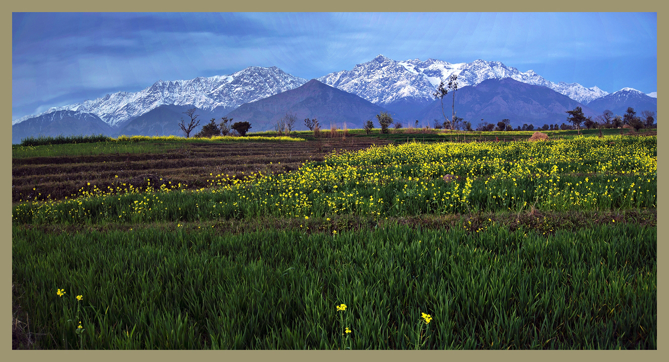 A road Less traversed...