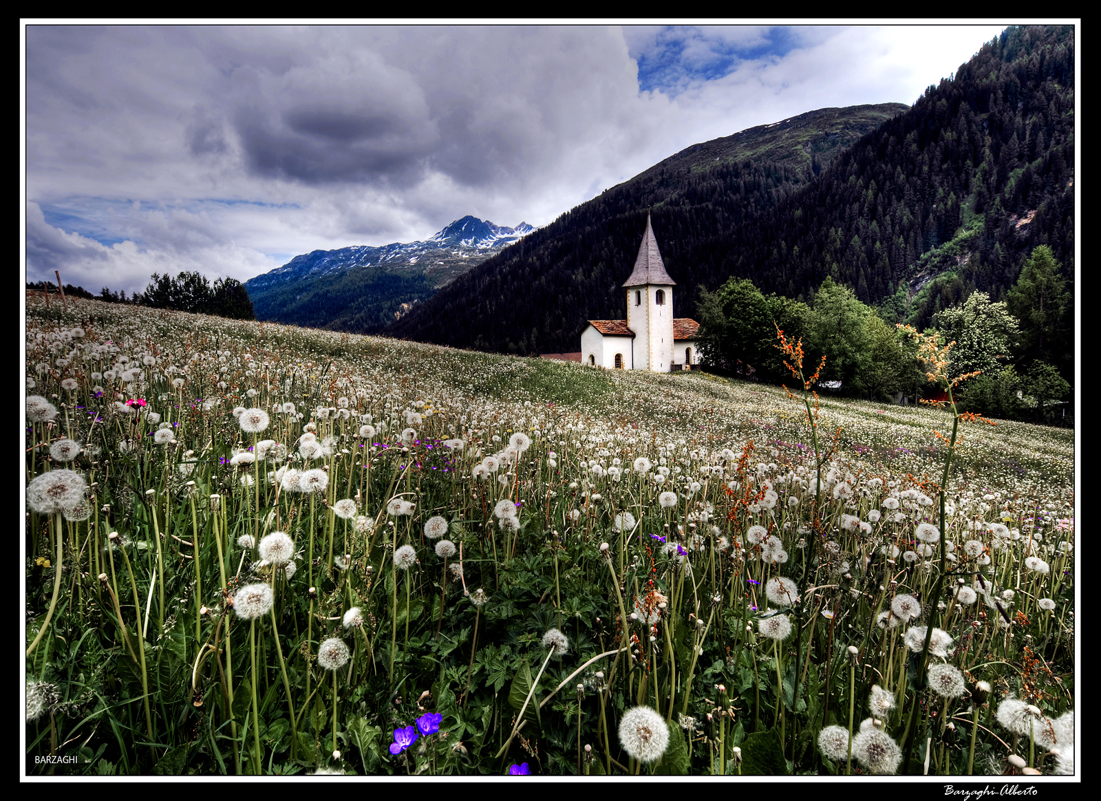 aspettando la primavera