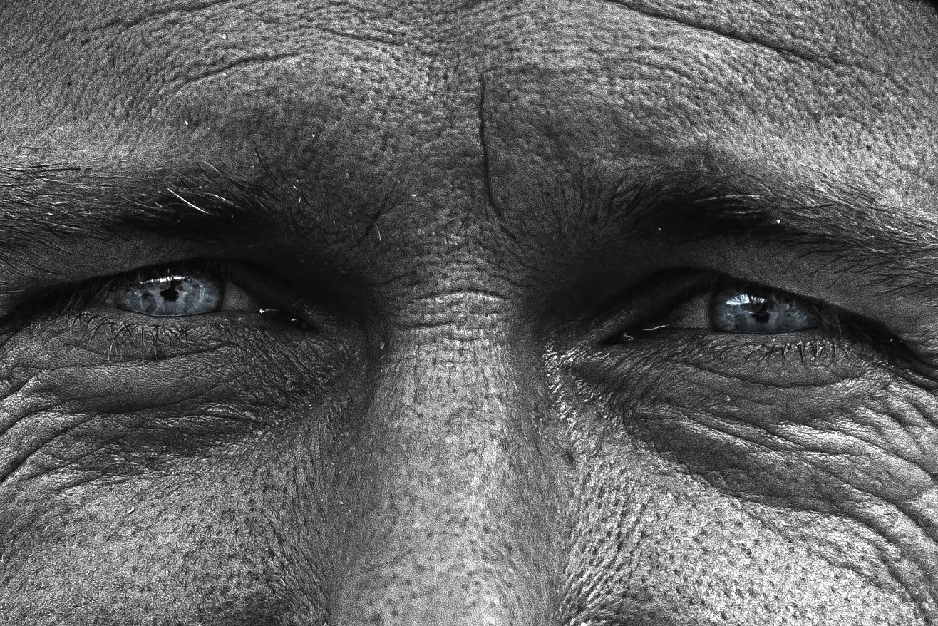 I shot the captain but I did not shoot the first officer