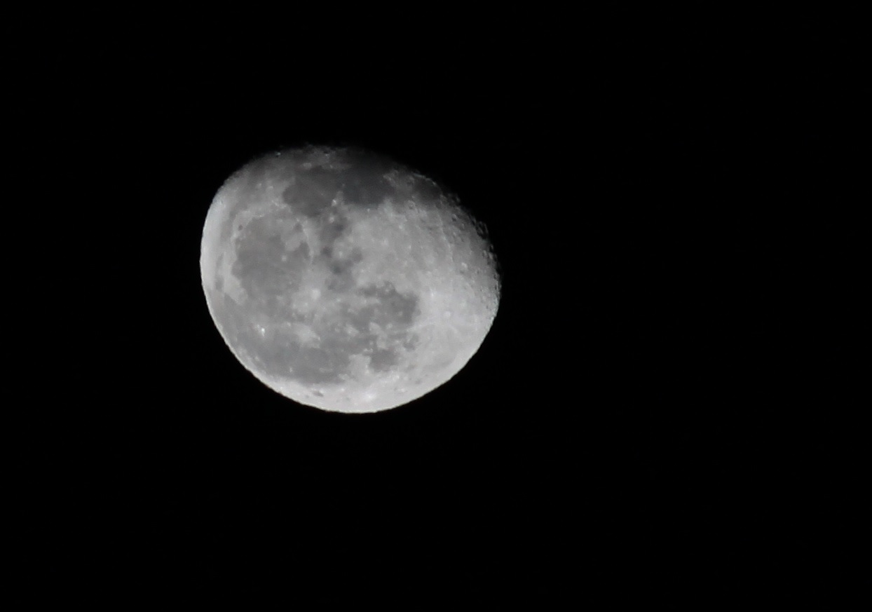 Luna 3/4 7 Febbraio 2015